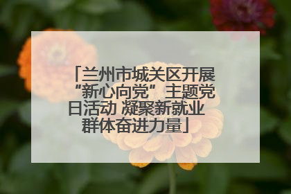 兰州市城关区开展“新心向党”主题党日活动 凝聚新就业群体奋进力量