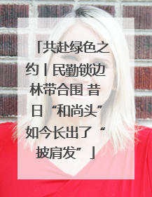 共赴绿色之约丨民勤锁边林带合围 昔日“和尚头”如今长出了“披肩发”