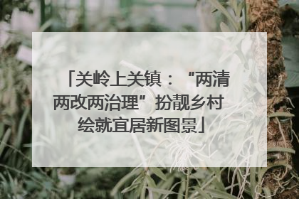 关岭上关镇：“两清两改两治理”扮靓乡村 绘就宜居新图景