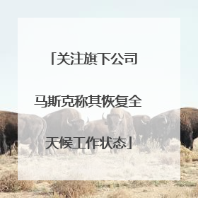 关注旗下公司 马斯克称其恢复全天候工作状态