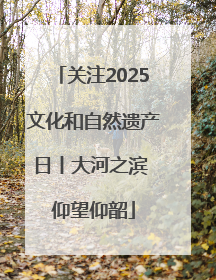 关注2025文化和自然遗产日丨大河之滨 仰望仰韶