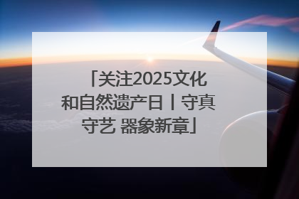 关注2025文化和自然遗产日丨守真守艺 器象新章