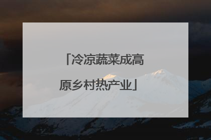 冷凉蔬菜成高原乡村热产业