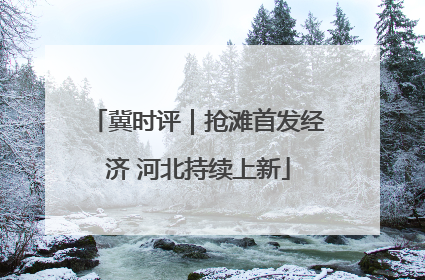 冀时评｜抢滩首发经济 河北持续上新