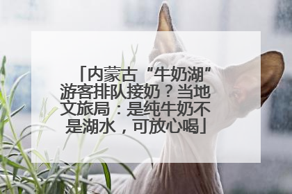 内蒙古“牛奶湖”游客排队接奶？当地文旅局：是纯牛奶不是湖水，可放心喝