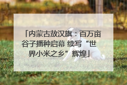 内蒙古敖汉旗：百万亩谷子播种启幕 续写“世界小米之乡”辉煌