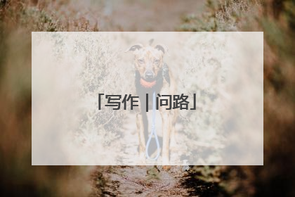 写作｜问路