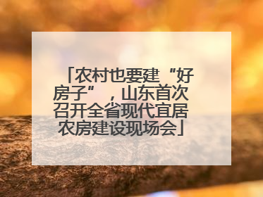 农村也要建“好房子”，山东首次召开全省现代宜居农房建设现场会
