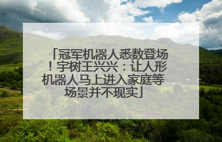 冠军机器人悉数登场！宇树王兴兴：让人形机器人马上进入家庭等场景并不现实