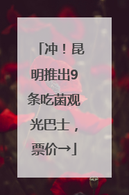 冲！昆明推出9条吃菌观光巴士，票价→