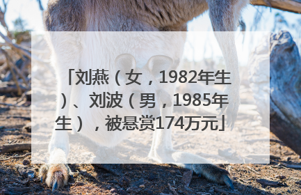 刘燕（女，1982年生）、刘波（男，1985年生），被悬赏174万元
