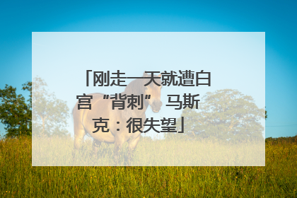 刚走一天就遭白宫“背刺” 马斯克：很失望
