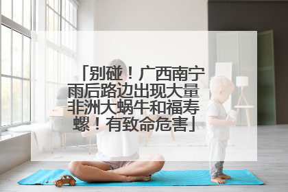 别碰！广西南宁雨后路边出现大量非洲大蜗牛和福寿螺！有致命危害