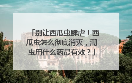 别让西瓜虫肆虐！西瓜虫怎么彻底消灭，潮虫用什么药最有效？