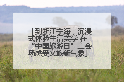 到浙江宁海，沉浸式体验生活美学 在“中国旅游日”主会场感受文旅新气象