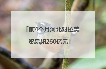 前4个月河北对拉美贸易超260亿元