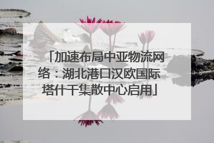 加速布局中亚物流网络：湖北港口汉欧国际塔什干集散中心启用