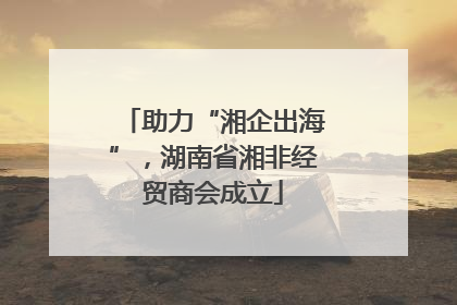 助力“湘企出海”，湖南省湘非经贸商会成立