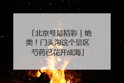 北京号最精彩｜绝美！门头沟这个景区芍药已花开成海