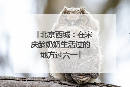 北京西城：在宋庆龄奶奶生活过的地方过六一