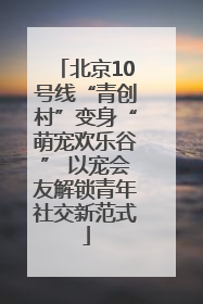 北京10号线“青创村”变身“萌宠欢乐谷” 以宠会友解锁青年社交新范式