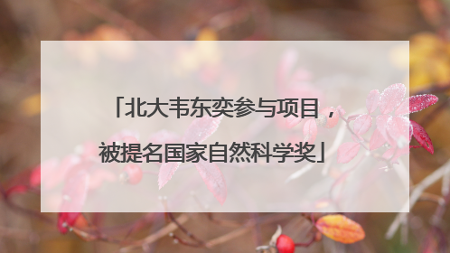 北大韦东奕参与项目，被提名国家自然科学奖