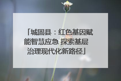 城固县：红色基因赋能智慧应急 探索基层治理现代化新路径