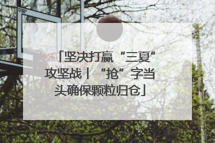 坚决打赢“三夏”攻坚战丨“抢”字当头确保颗粒归仓