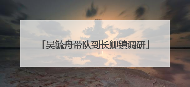 吴毓舟带队到长卿镇调研