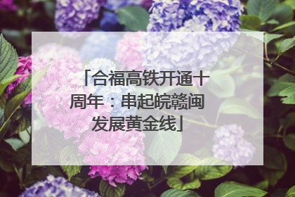 合福高铁开通十周年：串起皖赣闽发展黄金线