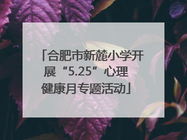 合肥市新麓小学开展“5.25”心理健康月专题活动