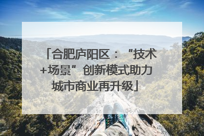 合肥庐阳区：“技术+场景”创新模式助力城市商业再升级