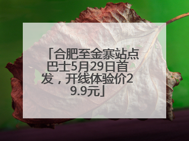 合肥至金寨站点巴士5月29日首发，开线体验价29.9元