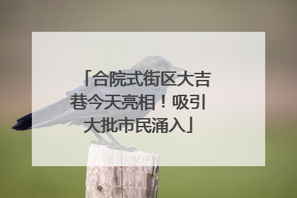 合院式街区大吉巷今天亮相！吸引大批市民涌入