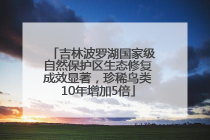 吉林波罗湖国家级自然保护区生态修复成效显著，珍稀鸟类10年增加5倍