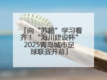 向“苏超”学习看齐！“海川建设杯”2025青岛城市足球联赛开幕