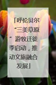 呼伦贝尔“三美草原”游牧迁徙季启动，推动文旅融合发展