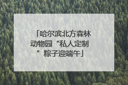 哈尔滨北方森林动物园“私人定制”粽子迎端午