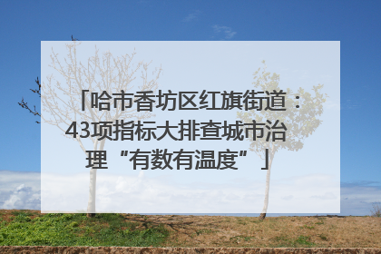 哈市香坊区红旗街道：43项指标大排查城市治理“有数有温度”