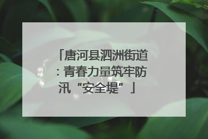 唐河县泗洲街道：青春力量筑牢防汛“安全堤”