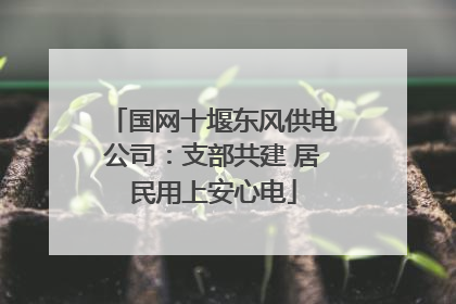 国网十堰东风供电公司：支部共建 居民用上安心电