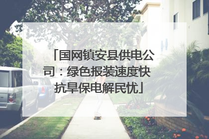 国网镇安县供电公司：绿色报装速度快 抗旱保电解民忧