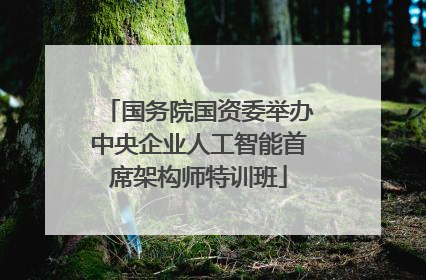 国务院国资委举办中央企业人工智能首席架构师特训班