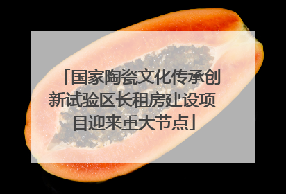 国家陶瓷文化传承创新试验区长租房建设项目迎来重大节点