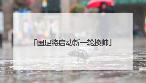国足将启动新一轮换帅