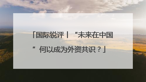 国际锐评丨“未来在中国”何以成为外资共识？