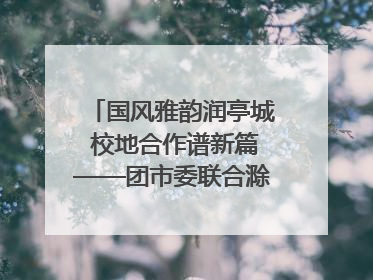 国风雅韵润亭城 校地合作谱新篇——团市委联合滁州城市职业学院助力传统文化“破圈”绽放