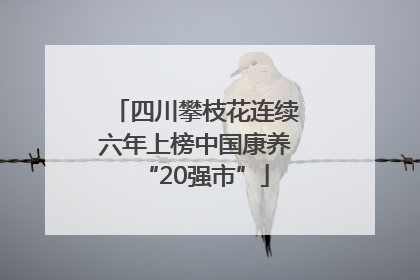 四川攀枝花连续六年上榜中国康养“20强市”