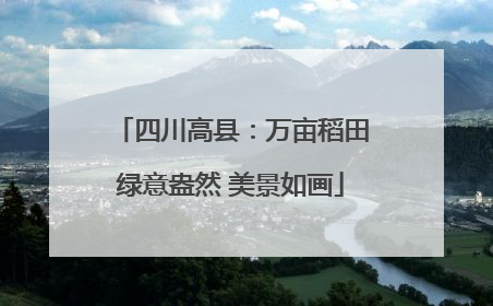 四川高县：万亩稻田绿意盎然 美景如画