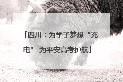 四川：为学子梦想“充电” 为平安高考护航